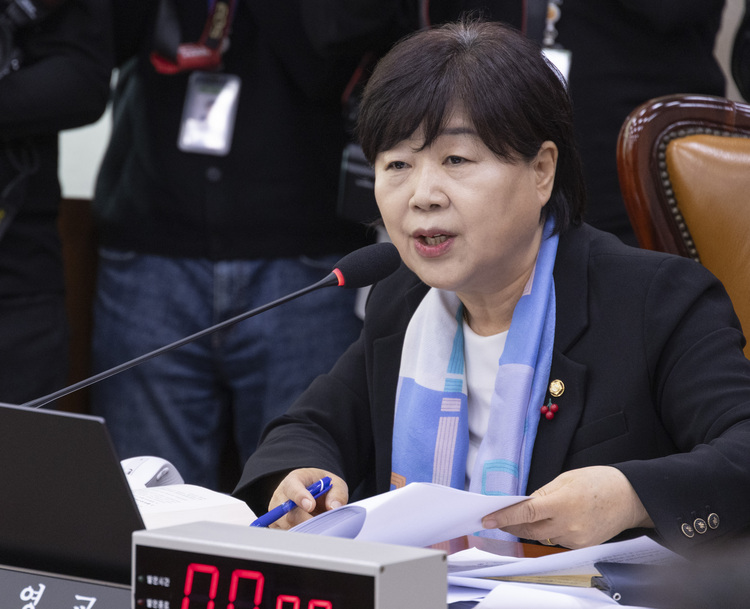 서영교 더불어민주당 의원 /연합뉴스 