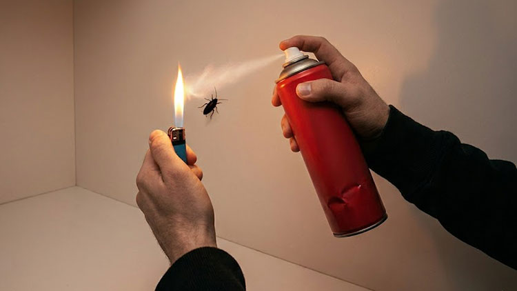 바퀴벌레 잡으려다 불…끝내 이웃까지 숨져 