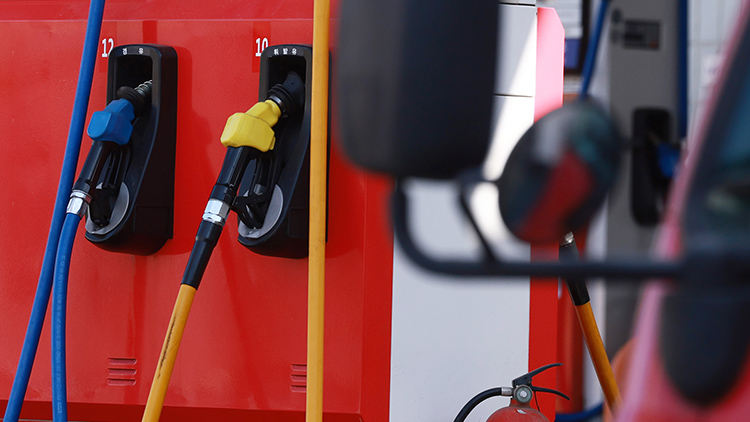 /TV조선 방송화면 캡처