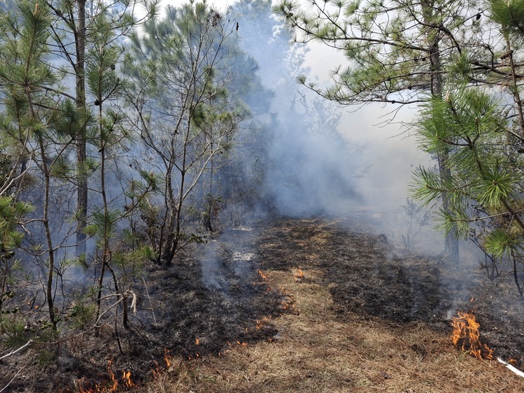 제공 전남소방본부