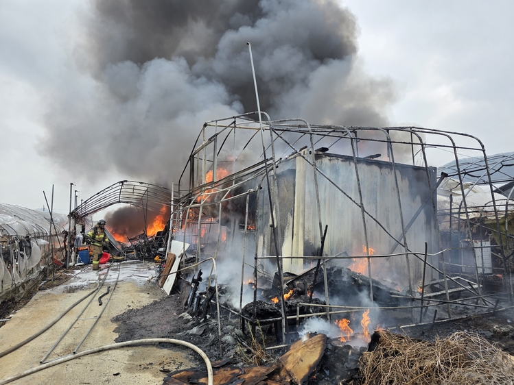 경기도소방재난본부 제공