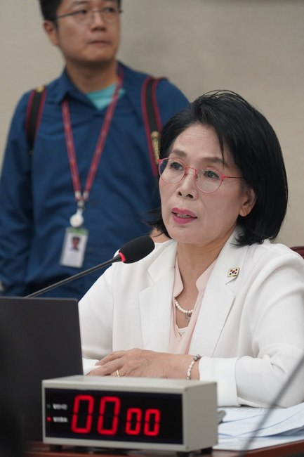 더불어민주당 최민희 의원