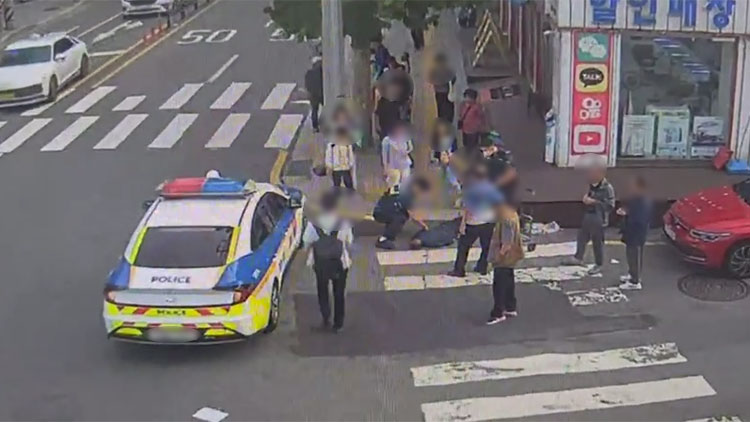 /서울 금천경찰서 제공