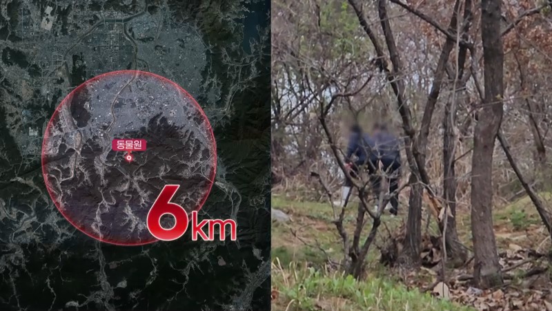 늑구 관련 이미지 2