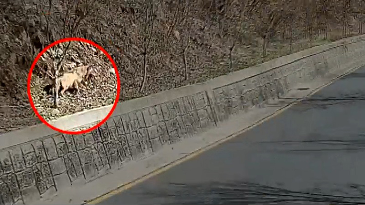 /TV조선 방송화면 캡처