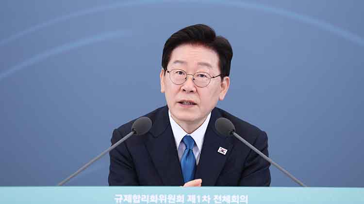 이재명 대통령이 15일 청와대에서 열린 규제합리화위원회 제1차 전체회의에서 발언하고 있다. /연합뉴스