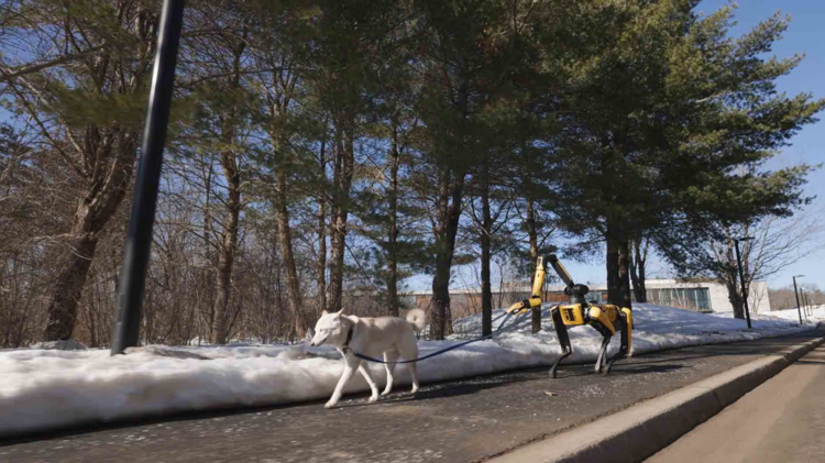 스팟이 목줄을 잡고 강아지를 산책시키고 있다. (출처:현대차그룹)