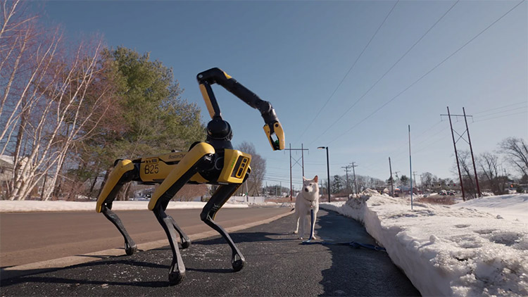 개가 개를 산책…제미나이 더한 로봇 '스팟'의 진화