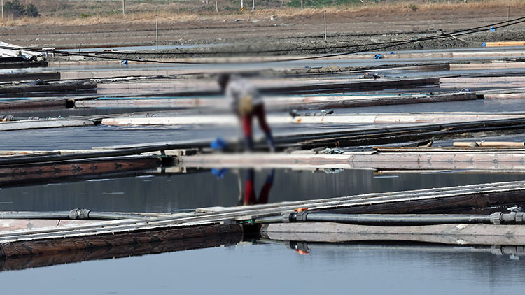/TV조선 방송화면 캡처