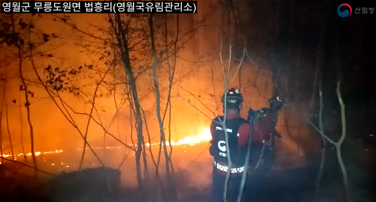 영월군 관련 이미지 1