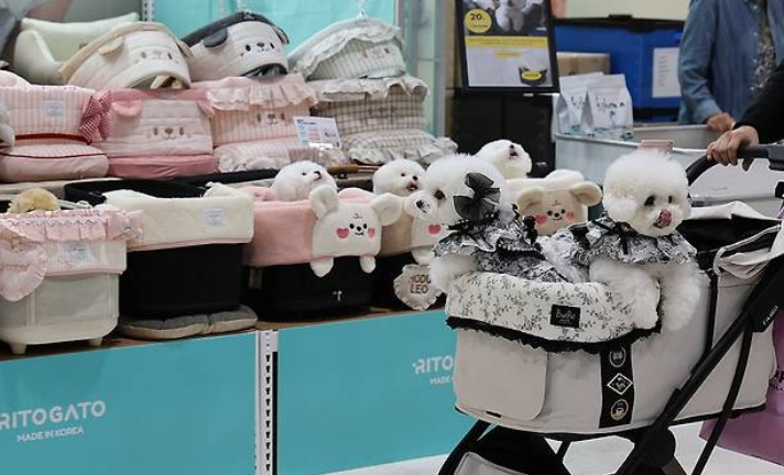 연합뉴스