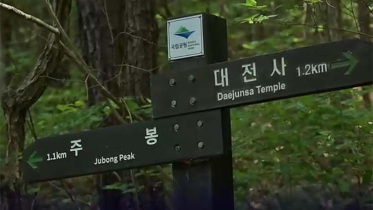 /TV조선 방송화면 캡처