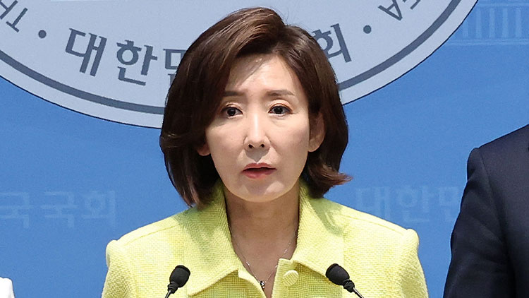 국민의힘 나경원 의원 /연합뉴스