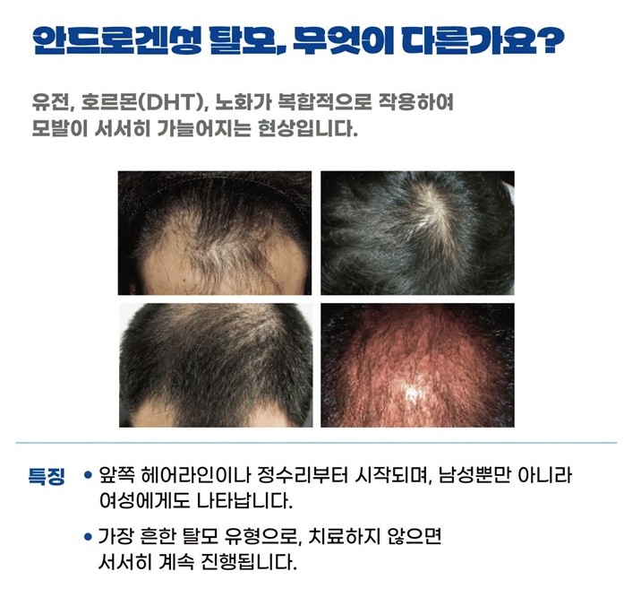대한민국 정책브리핑