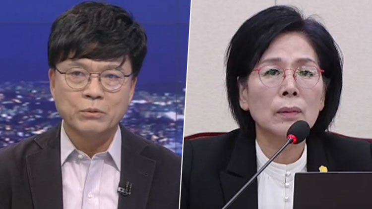 이병태 규제합리화위원회 부위원장, 최민희 더불어민주당 의원 /TV조선 방송화면 캡처