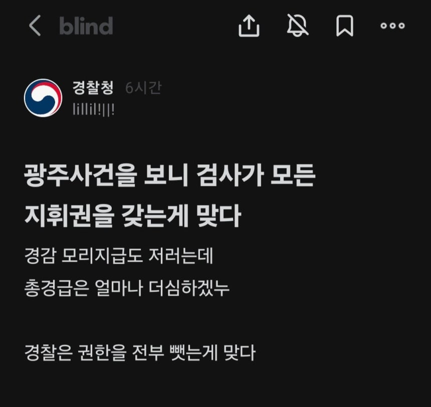 블라인드 캡처