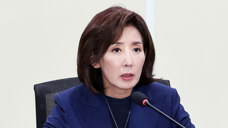 국민의힘 나경원 의원 /연합뉴스