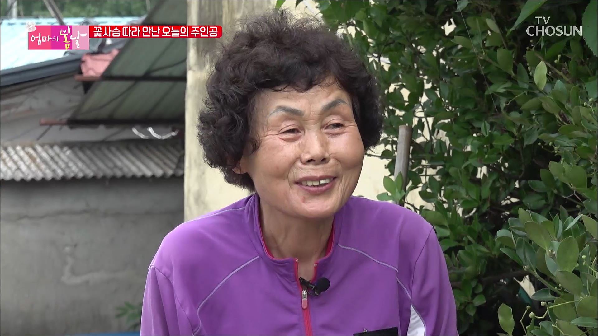 엄마의 봄날 361회