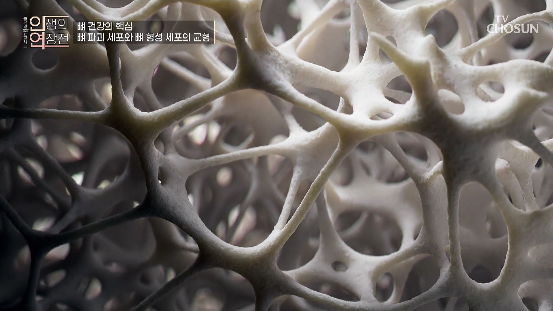 인생의 연장전 15회