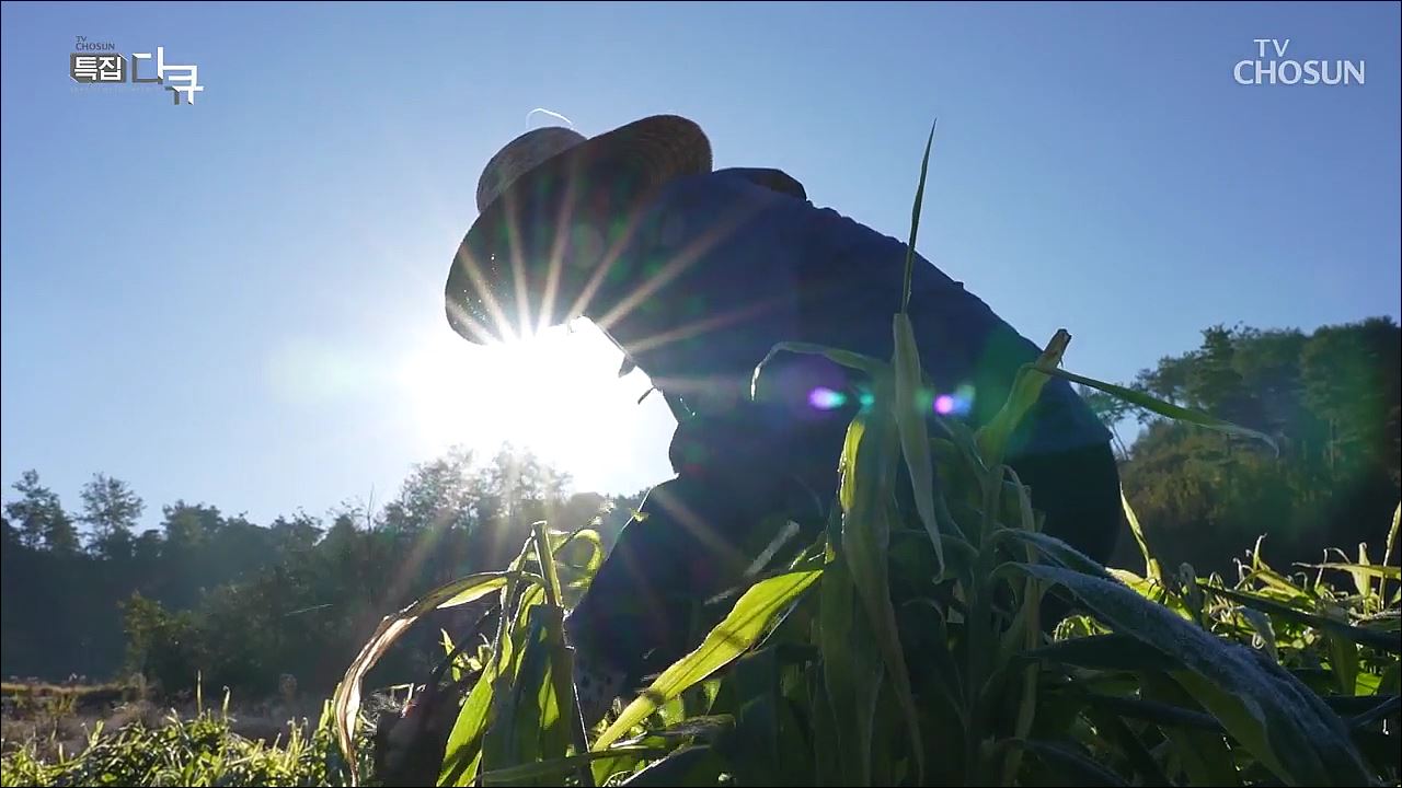 셰프, K농업 이끄는  농스타를 만나다