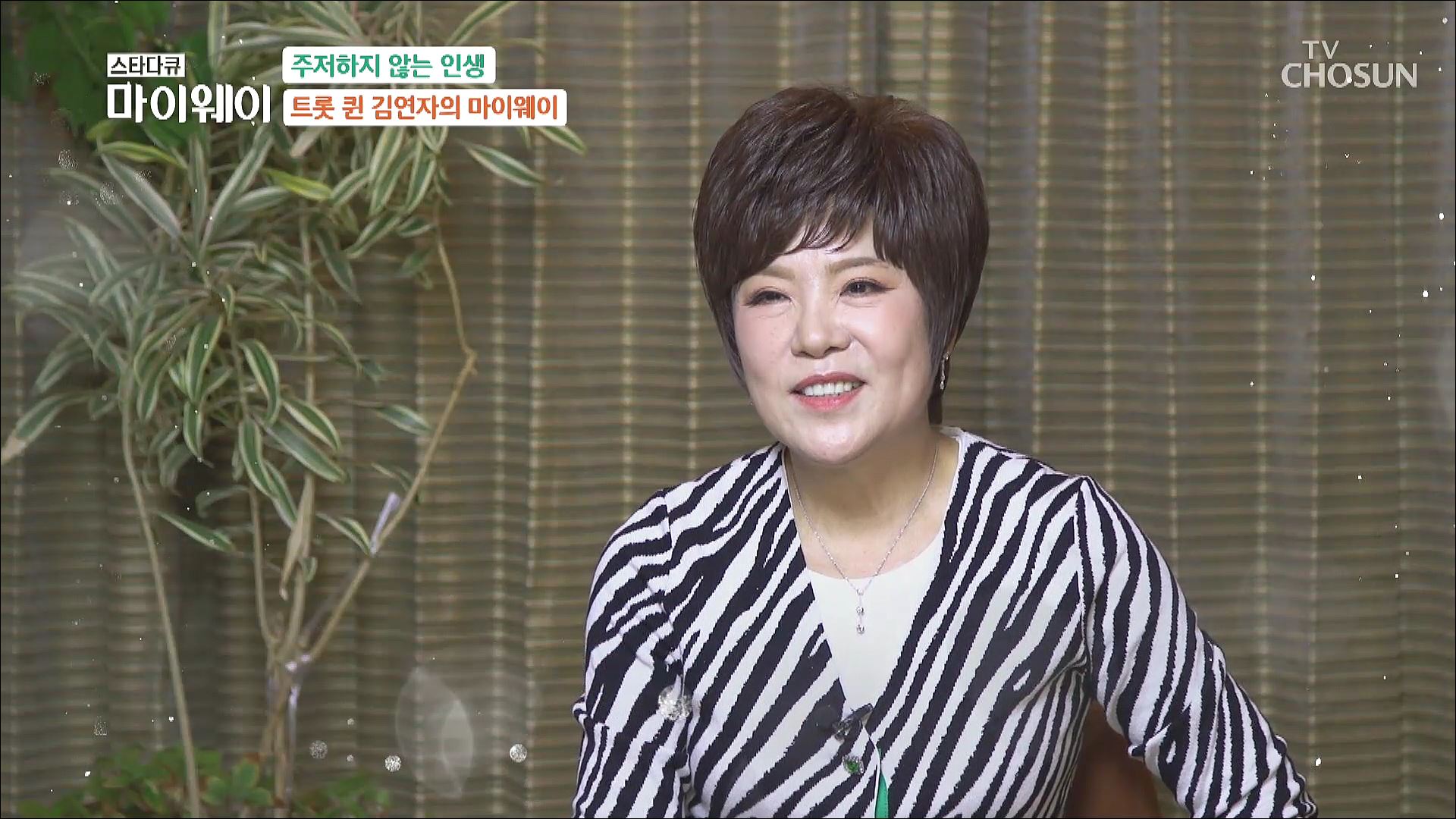 스타다큐 마이웨이 342회