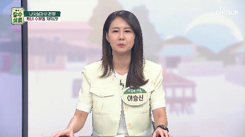 장수상회 91회