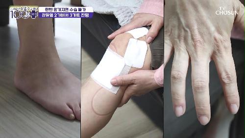 손범수와 함께 100세 더하기 20회