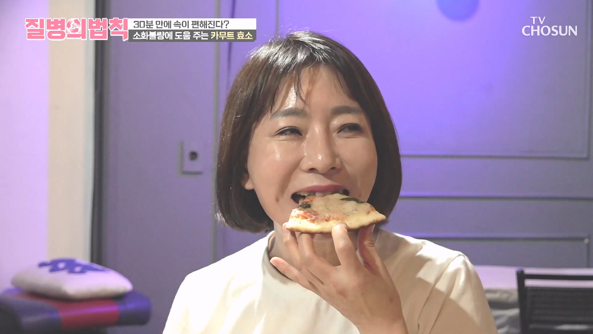 질병의 법칙
