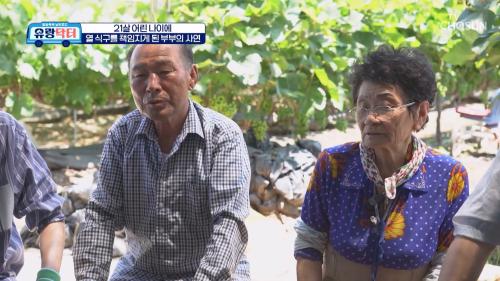 방방곡곡 낭만로드 유랑닥터 21회