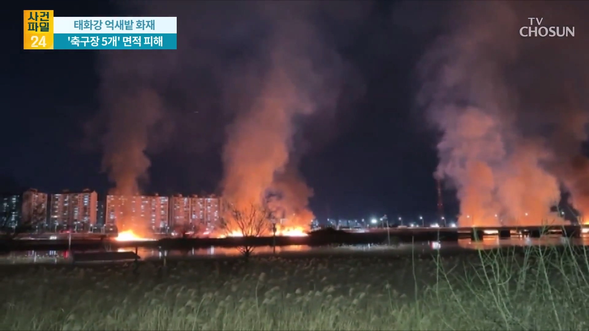 사건파일 24 2095회